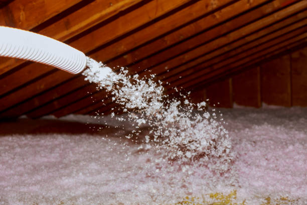 Best Professional Insulation Contractor  in Sylvan Lake, MI